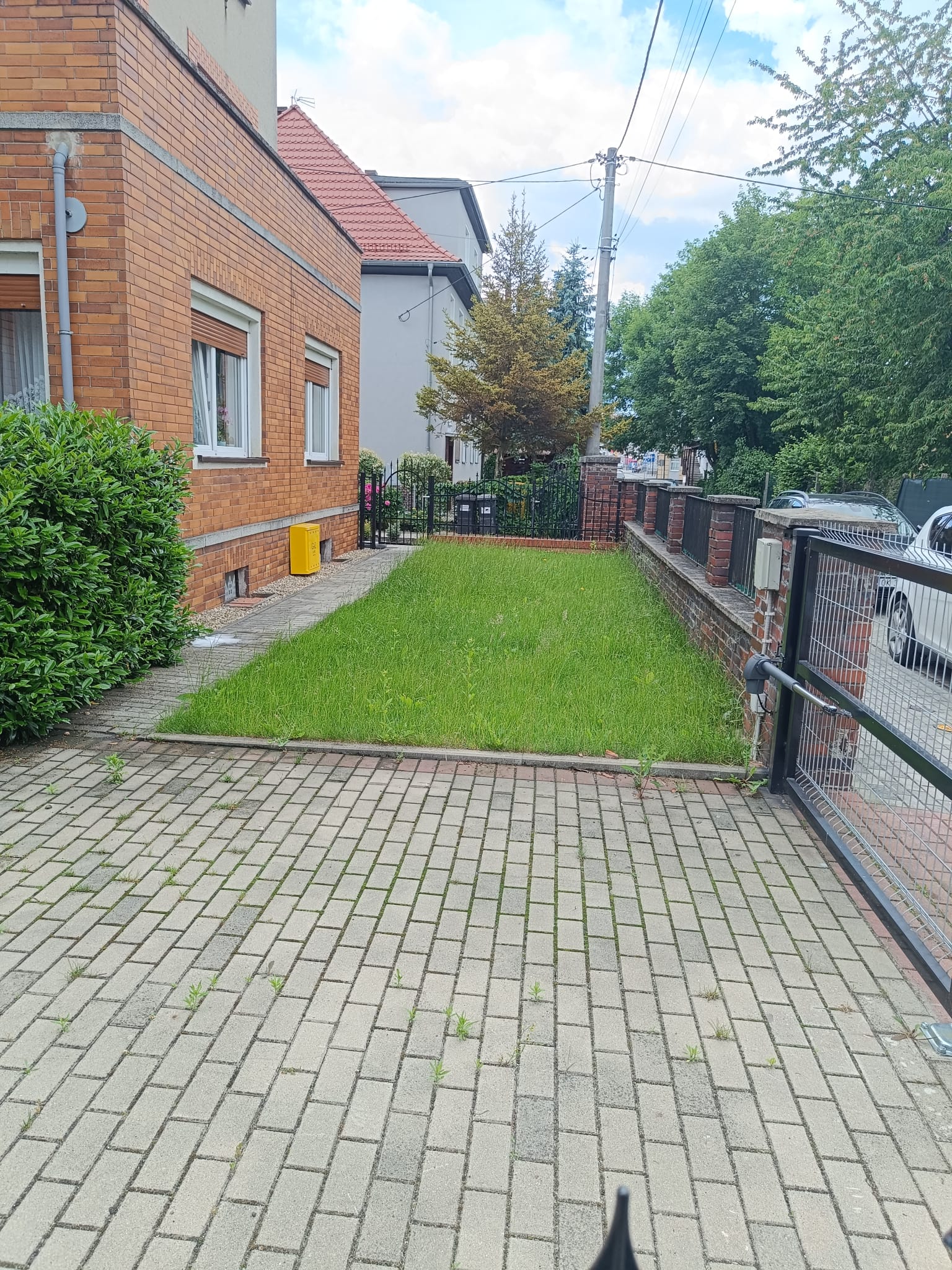 Ogród 2