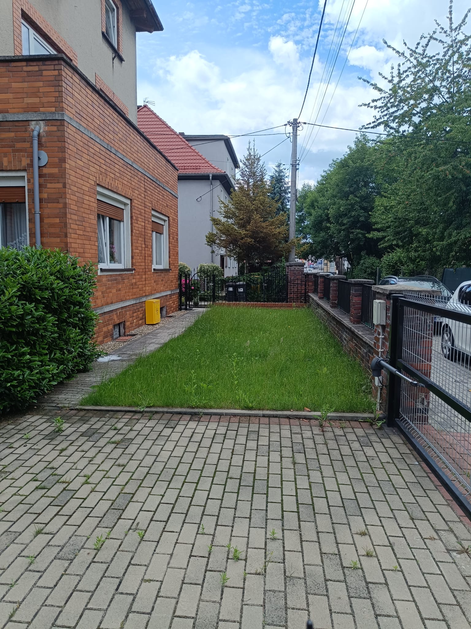 Ogród 3