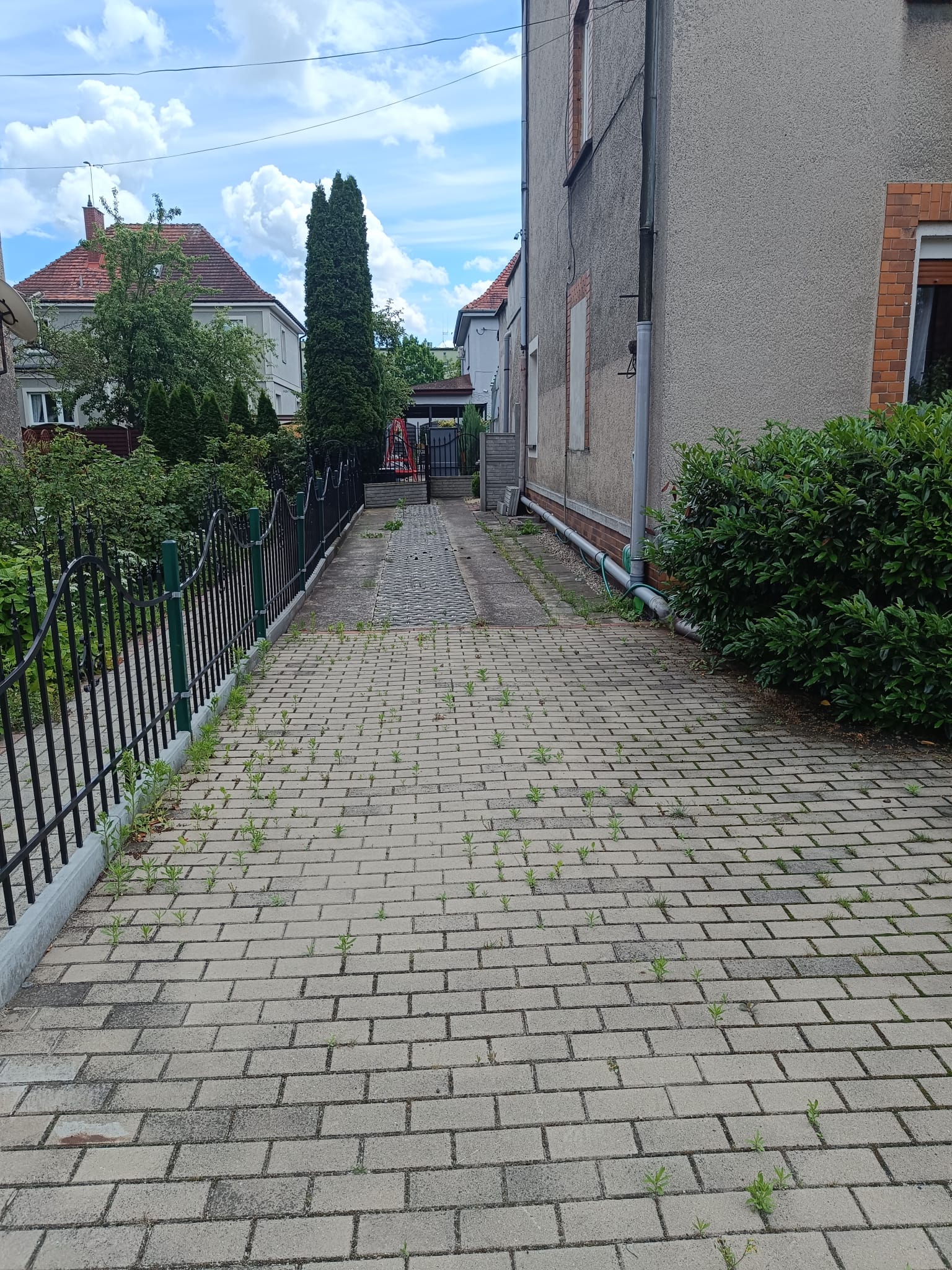 Ogród 4