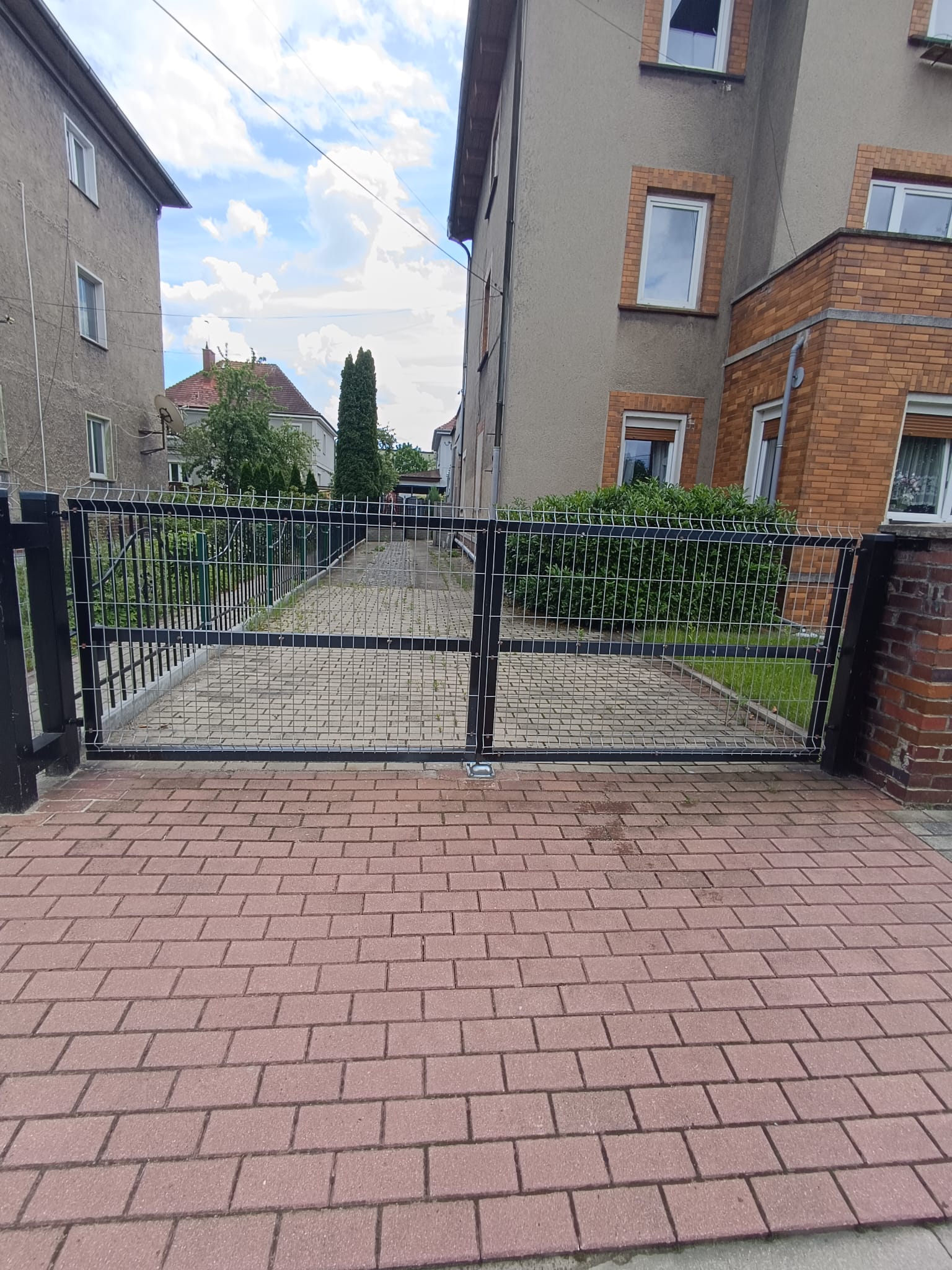 Ogród 5